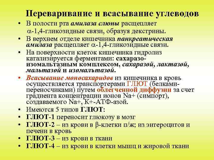 Переваривание и всасывание углеводов • В полости рта амилаза слюны расщепляет -1, 4 -гликозидные