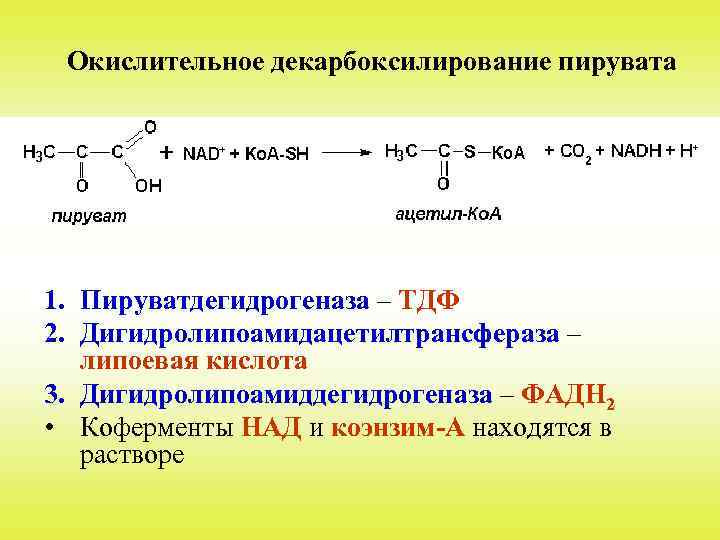 Окислительное декарбоксилирование пирувата 1. Пируватдегидрогеназа – ТДФ 2. Дигидролипоамидацетилтрансфераза – липоевая кислота 3. Дигидролипоамиддегидрогеназа