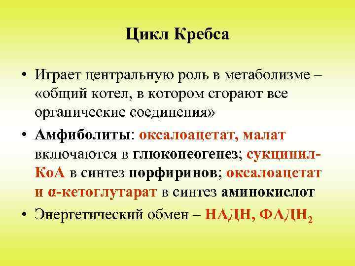 Цикл Кребса • Играет центральную роль в метаболизме – «общий котел, в котором сгорают