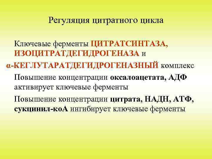 Регуляция цитратного цикла Ключевые ферменты ЦИТРАТСИНТАЗА, ИЗОЦИТРАТДЕГИДРОГЕНАЗА и α-КЕГЛУТАРАТДЕГИДРОГЕНАЗНЫЙ комплекс Повышение концентрации оксалоацетата, АДФ