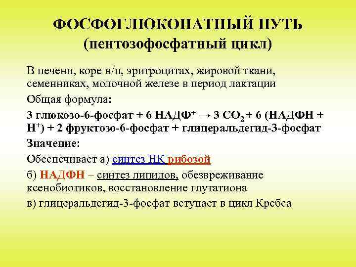 ФОСФОГЛЮКОНАТНЫЙ ПУТЬ (пентозофосфатный цикл) В печени, коре н/п, эритроцитах, жировой ткани, семенниках, молочной железе