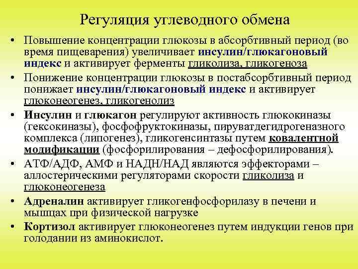 Схема процесса поддерживающего уровень глюкозы в крови при углеводном голодании