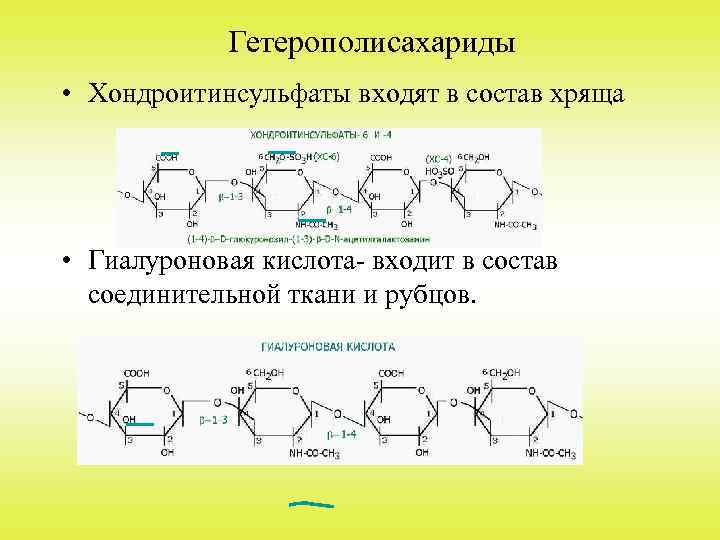 Гетерополисахариды • Хондроитинсульфаты входят в состав хряща • Гиалуроновая кислота- входит в состав соединительной