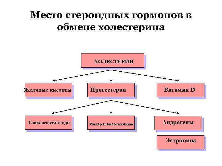 Место стероидных гормонов в обмене холестерина ХОЛЕСТЕРИН Желчные кислоты Глюкокортикоиды Прогестерон Минералокортикоиды Витамин D