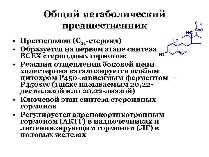 Общий метаболический предшественник • Прегненолон (C 21 -стероид) • Образуется на первом этапе синтеза