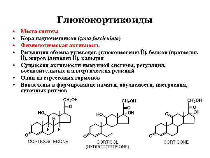 Презентация препараты гормонов коры надпочечников