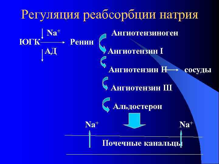 Регуляция реабсорбции натрия ЮГК Na+ АД Ренин Ангиотензиноген Ангиотензин I Ангиотензин П сосуды Ангиотензин