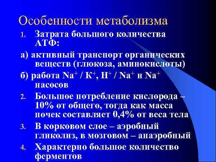 Особенности обмена веществ. Особенности метаболизма почечной ткани. Особенности метаболизма почек. Особенности метаболизма веществ в почках. Особенности энергетического обмена в почках.