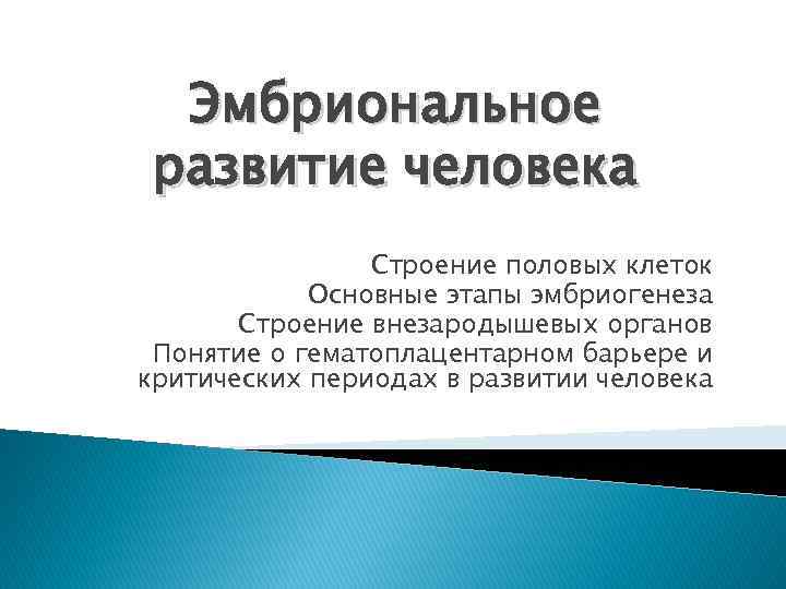 Эмбриональное развитие человека презентация 8 класс