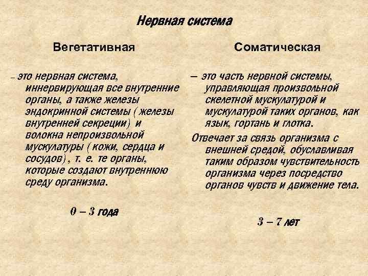 Нервная система Вегетативная – Соматическая это нервная система, – это часть нервной системы, иннервирующая