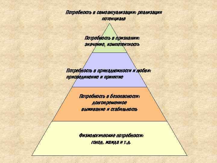 Потребность в самоактуализации: реализация потенциала Потребность в признании: значение, компетентность Потребность в принадлежности и