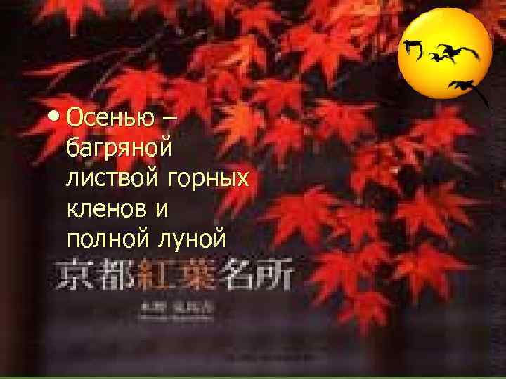  • Осенью – багряной листвой горных кленов и полной луной 