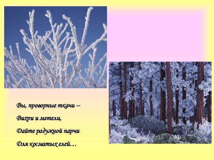 Вы, проворные ткачи – Вихри и метели, Дайте радужной парчи Для косматых елей… 