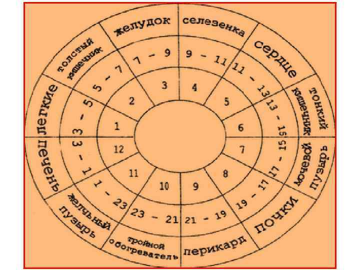 Просмотр 12 каналов