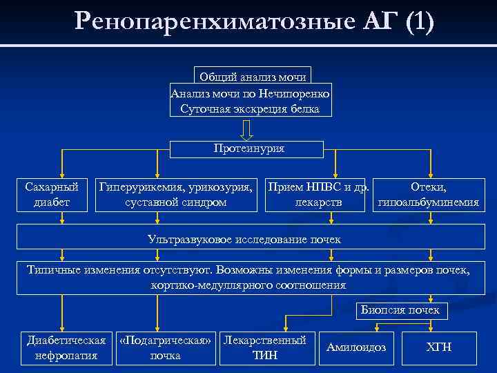 Ренопаренхиматозные АГ (1) Общий анализ мочи Анализ мочи по Нечипоренко Суточная экскреция белка Протеинурия