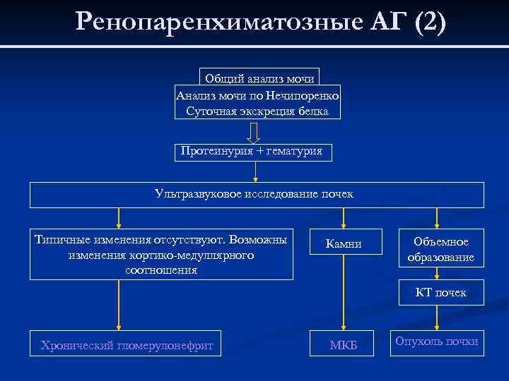 Ренопаренхиматозные АГ (2) Общий анализ мочи Анализ мочи по Нечипоренко Суточная экскреция белка Протеинурия