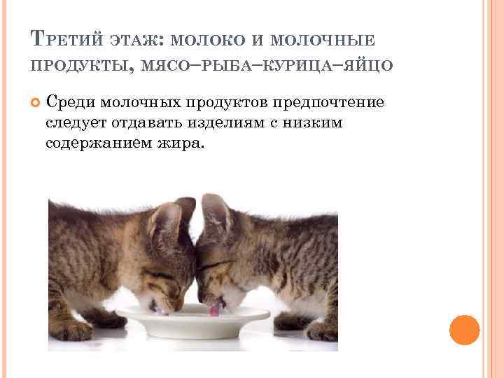 ТРЕТИЙ ЭТАЖ: МОЛОКО И МОЛОЧНЫЕ ПРОДУКТЫ, МЯСО–РЫБА–КУРИЦА–ЯЙЦО Среди молочных продуктов предпочтение следует отдавать изделиям