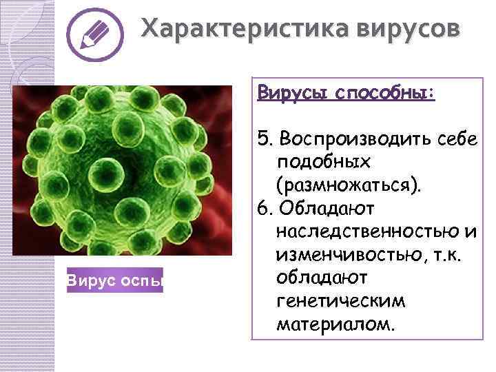 Характеристика вирусов Вирусы способны: Вирус оспы 5. Воспроизводить себе подобных (размножаться). 6. Обладают наследственностью