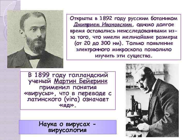 Открыты в 1892 году русским ботаником Дмитрием Ивановским, однако долгое время оставались неисследованными изза