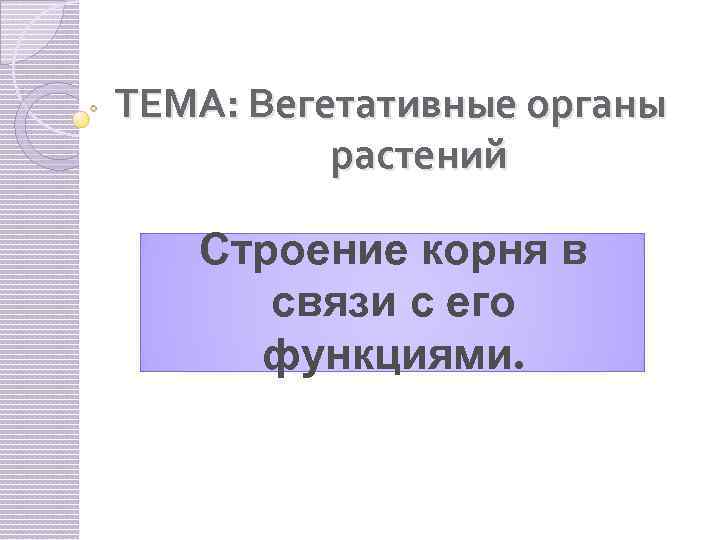 ТЕМА: Вегетативные органы растений Строение корня в связи с его функциями. 