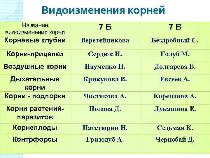 Таблица по биологии 6 класс корни. Видоизменения корней таблица. Видоизменения корня таблица. Видоизменения листьев таблица. Название видоизменения.