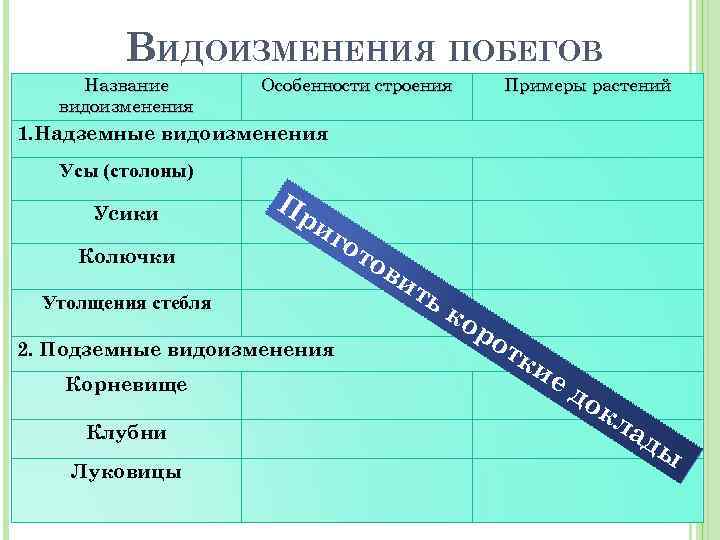 ВИДОИЗМЕНЕНИЯ ПОБЕГОВ Название видоизменения Особенности строения Примеры растений 1. Надземные видоизменения Усы (столоны) Усики