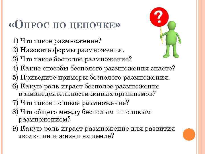  «ОПРОС ПО ЦЕПОЧКЕ» 1) Что такое размножение? 2) Назовите формы размножения. 3) Что