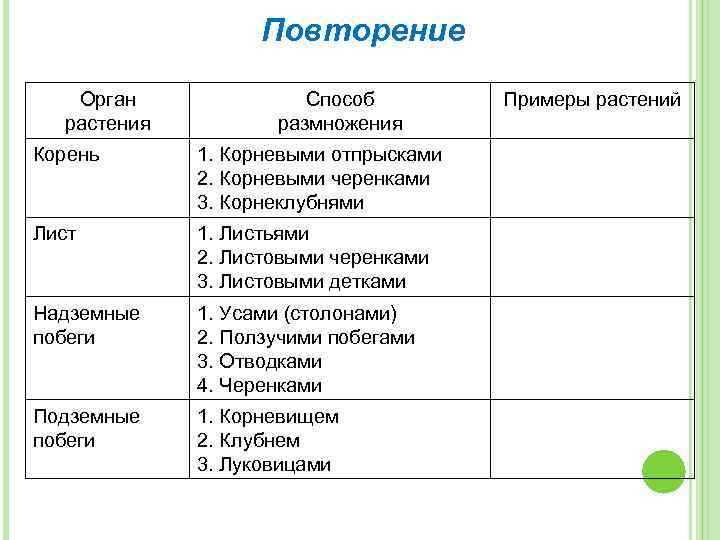 Повторение Орган растения Способ размножения Корень 1. Корневыми отпрысками 2. Корневыми черенками 3. Корнеклубнями