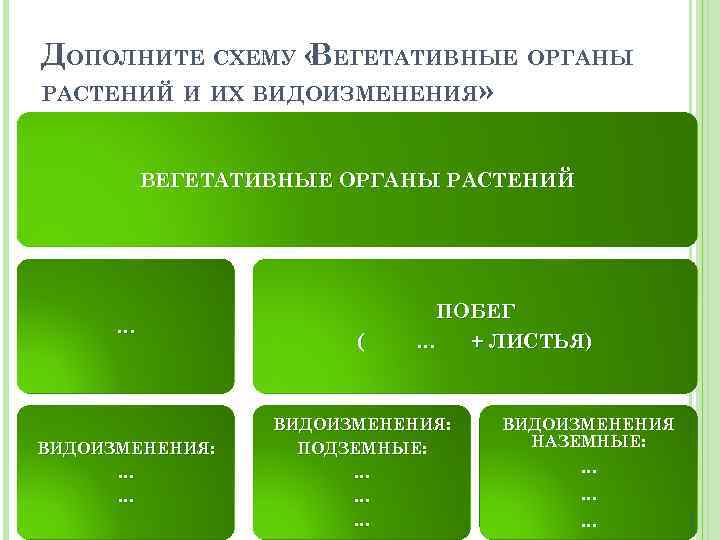 Изучив текст параграфа и рисунок 1 многообразие растений дополните схему