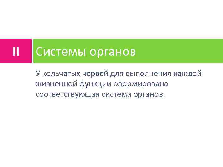 II Системы органов У кольчатых червей для выполнения каждой жизненной функции сформирована соответствующая система