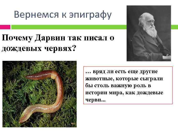 Вернемся к эпиграфу Почему Дарвин так писал о дождевых червях? … вряд ли есть