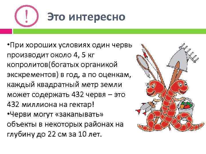 Это интересно • При хороших условиях один червь производит около 4, 5 кг копролитов(богатых