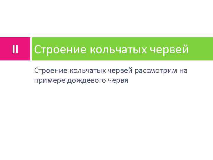 II Строение кольчатых червей рассмотрим на примере дождевого червя 