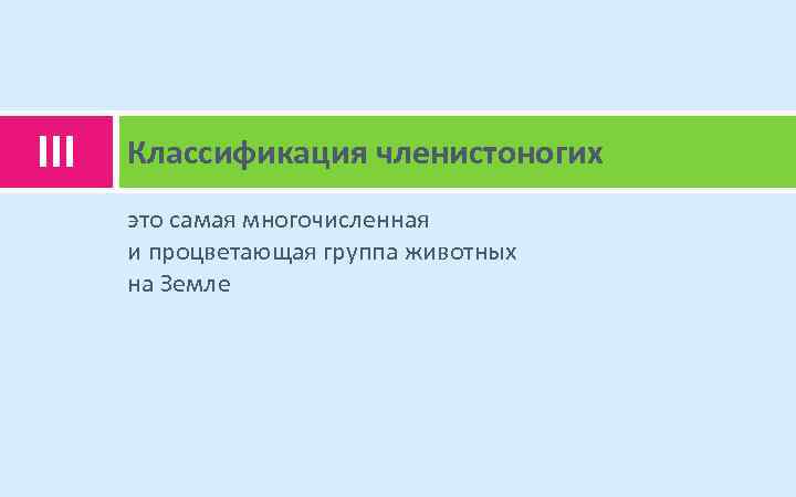 III Классификация членистоногих это самая многочисленная и процветающая группа животных на Земле 