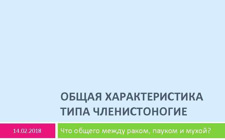 ОБЩАЯ ХАРАКТЕРИСТИКА ТИПА ЧЛЕНИСТОНОГИЕ 14. 02. 2018 Что общего между раком, пауком и мухой?