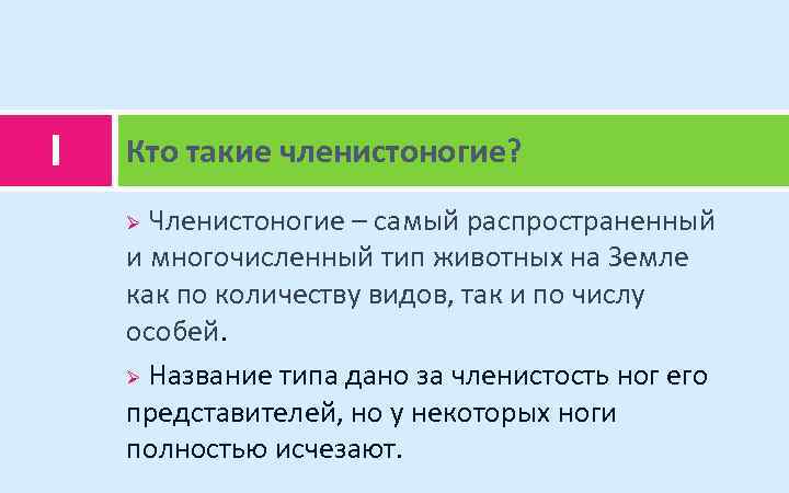 I Кто такие членистоногие? Членистоногие – самый распространенный и многочисленный тип животных на Земле