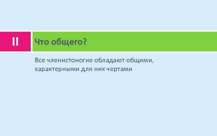 II Что общего? Все членистоногие обладают общими, характерными для них чертами 