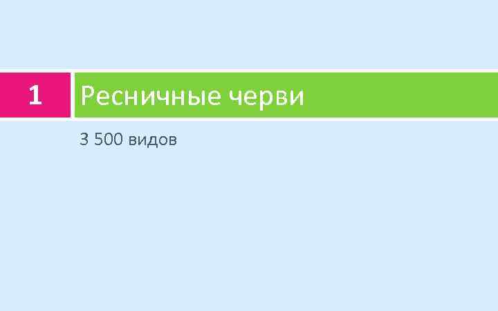 1 Ресничные черви 3 500 видов 