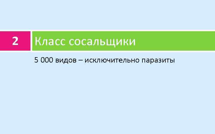 2 Класс сосальщики 5 000 видов – исключительно паразиты 