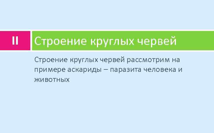 II Строение круглых червей рассмотрим на примере аскариды – паразита человека и животных 