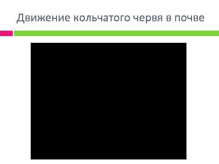 Движение кольчатого червя в почве 