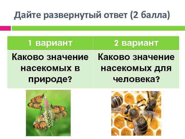 Дайте развернутый ответ (2 балла) 1 вариант 2 вариант Каково значение насекомых в насекомых