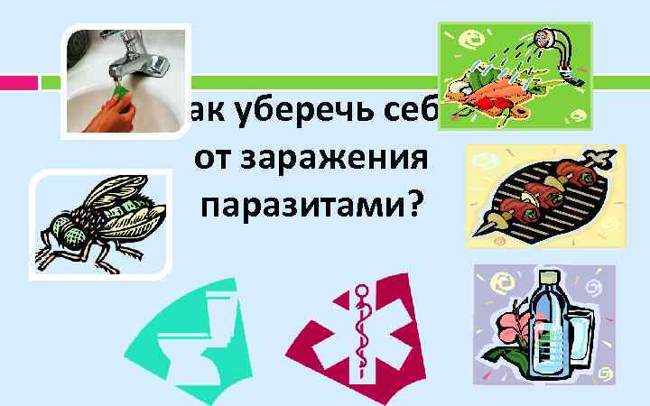 Как уберечь себя от заражения паразитами? 