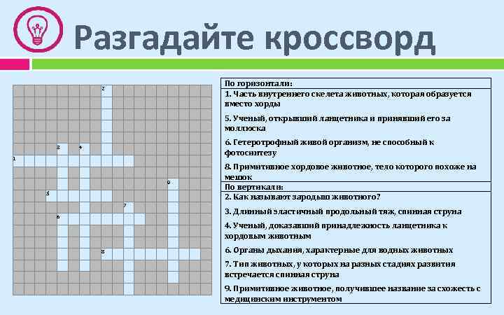 Разгадайте кроссворд По горизонтали: 1. Часть внутреннего скелета животных, которая образуется вместо хорды 2