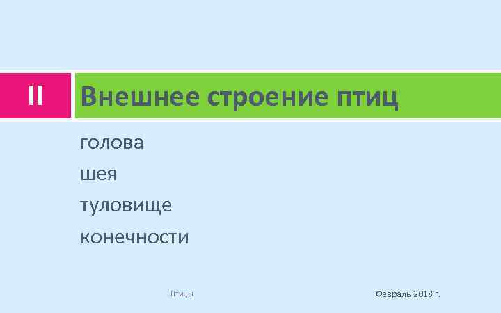 II Внешнее строение птиц голова шея туловище конечности Птицы Февраль 2018 г. 