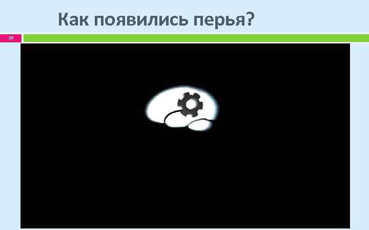 Как появились перья? 24 