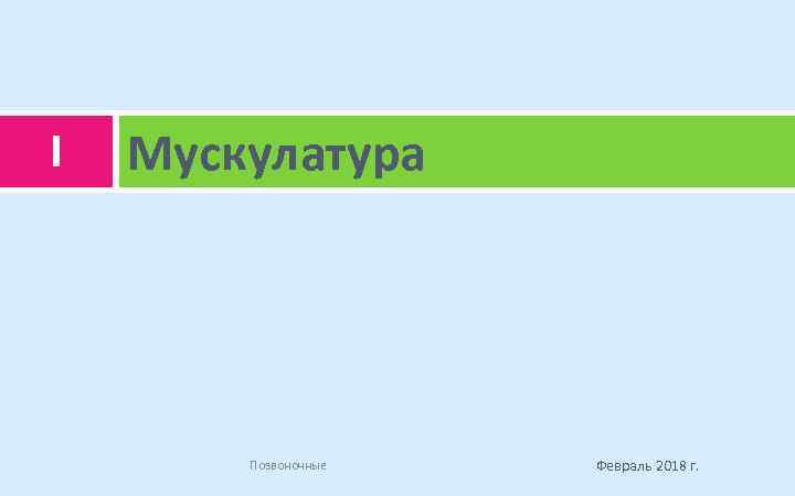 I Мускулатура Позвоночные Февраль 2018 г. 