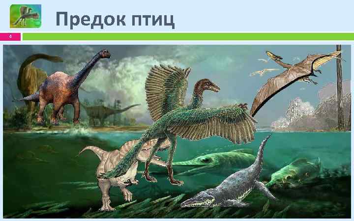 Предок птиц 4 