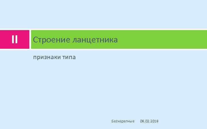 II Строение ланцетника признаки типа Бесчерепные 08. 02. 2018 