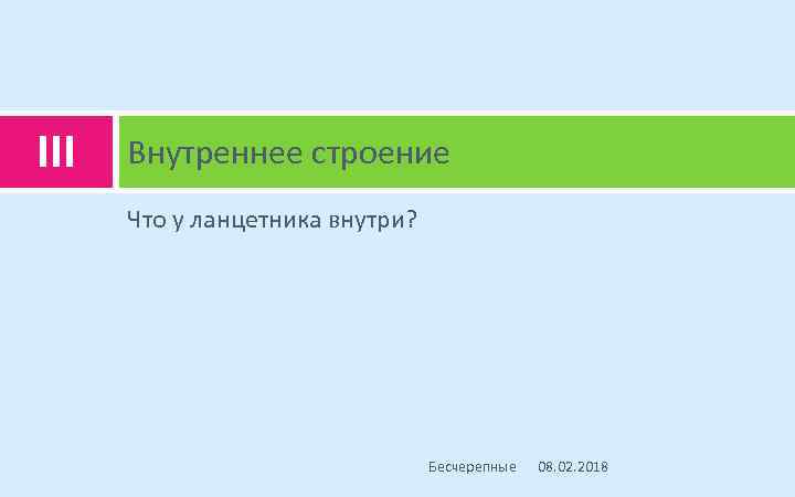 III Внутреннее строение Что у ланцетника внутри? Бесчерепные 08. 02. 2018 